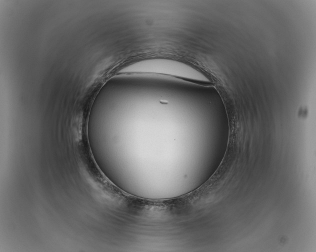 X0000091960694200709201344