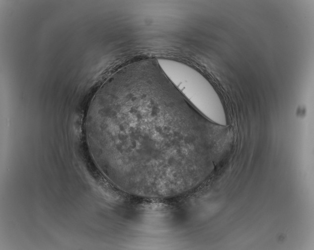 X0000091960695200709201344