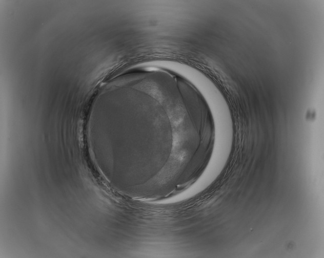 X0000091960696200709201344