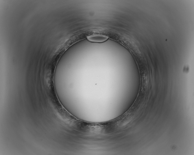 X0000091960698200709201344