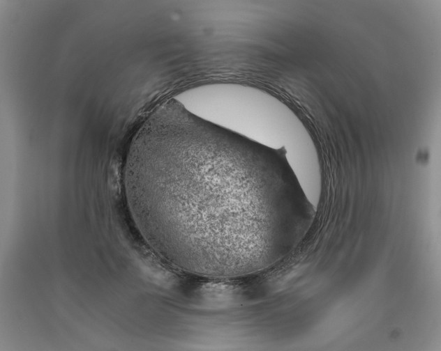 X0000091960699200709201343