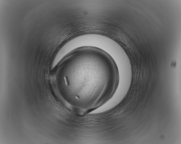 X0000091960700200709201343