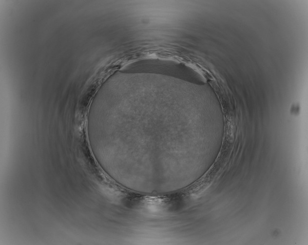 X0000091960701200709201343