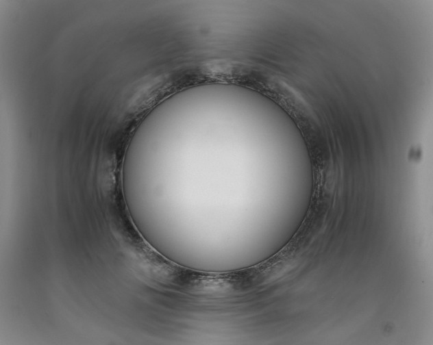 X0000091960702200709201343