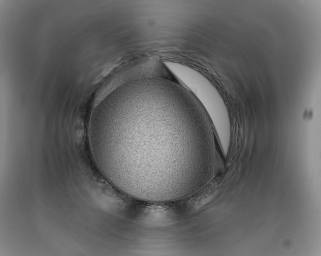 X0000091960704200709201343