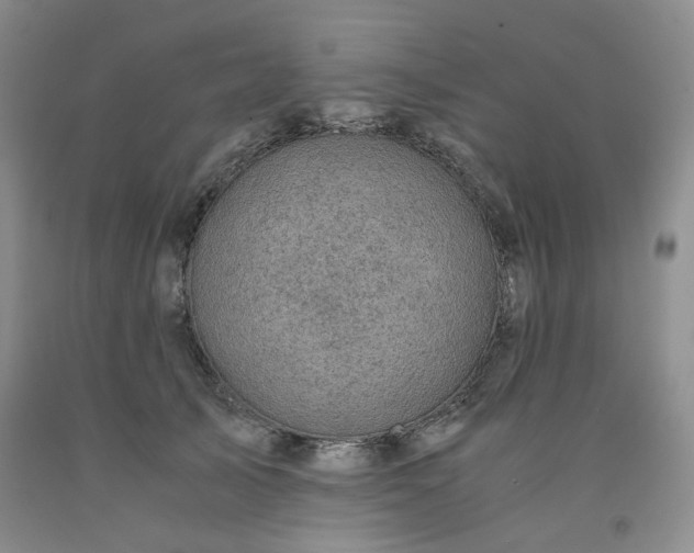 X0000091960705200709201343