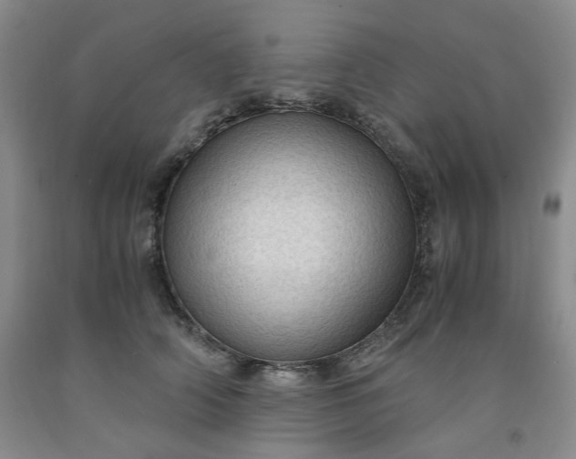 X0000091960706200709201343