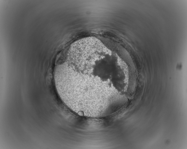 X0000091960707200709201343