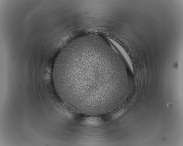 X0000091960708200709201343