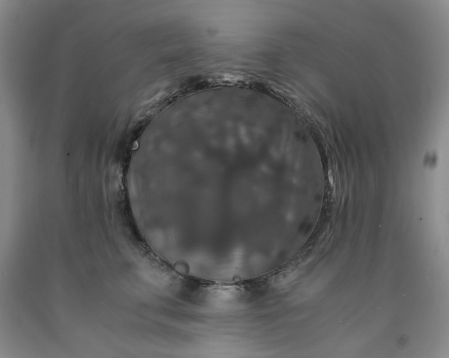 X0000091960711200709201343