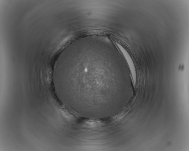 X0000091960712200709201343