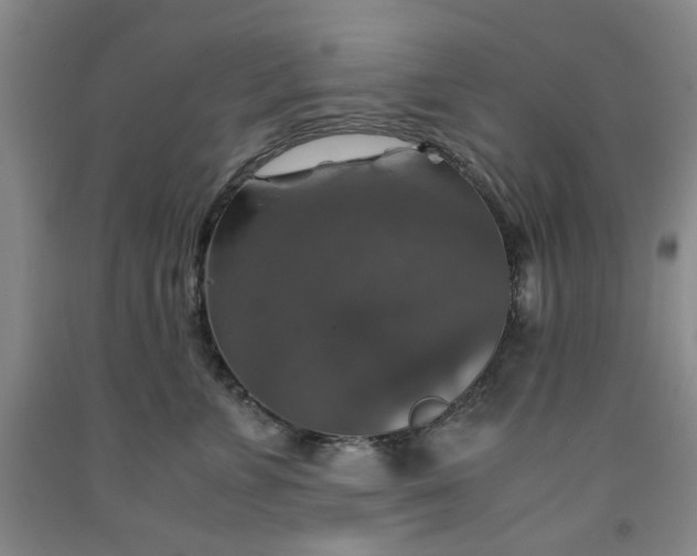 X0000091960715200709201343