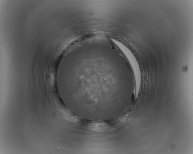 X0000091960716200709201343