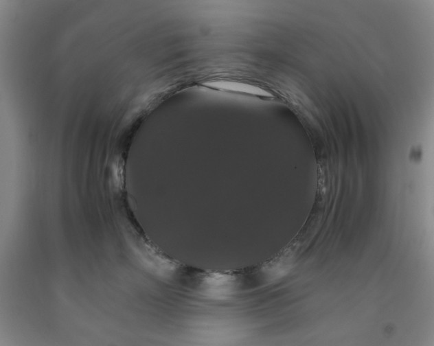 X0000091960718200709201343