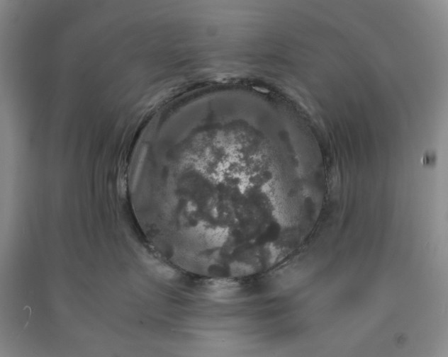 X0000091960719200709201343