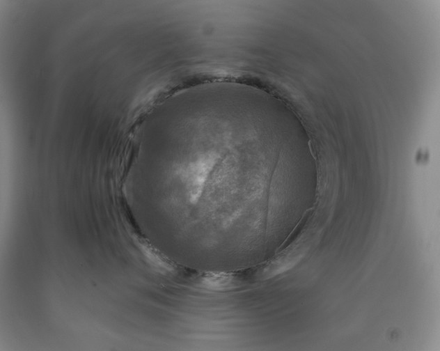 X0000091960720200709201343