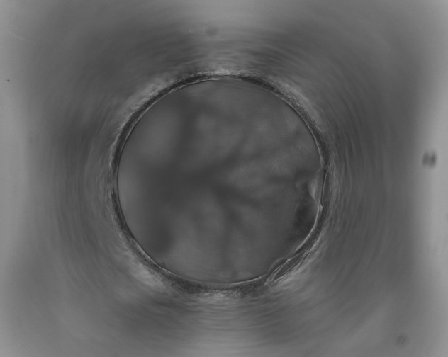 X0000091960721200709201343