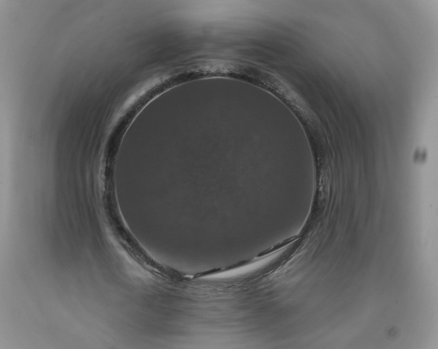 X0000091960722200709201343