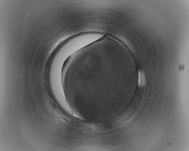 X0000091960723200709201343