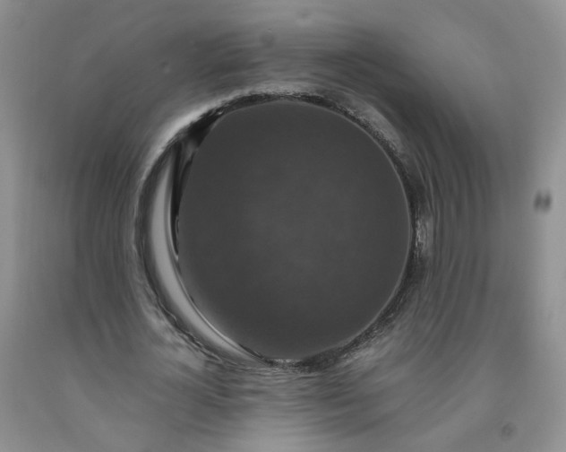 X0000091960724200709201343