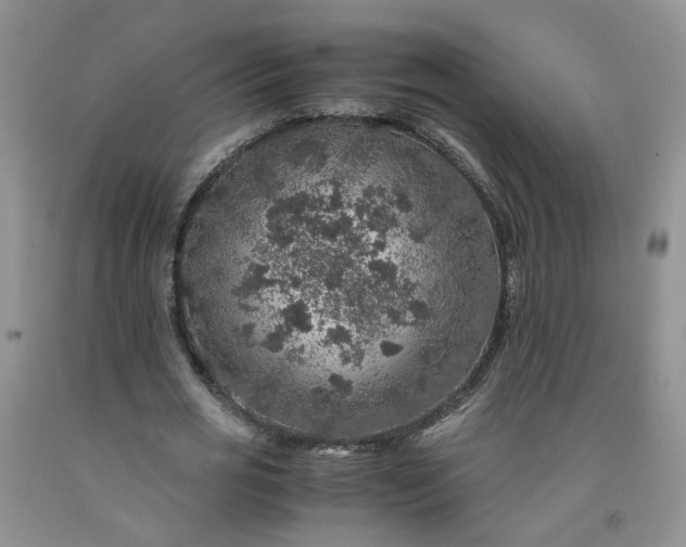 X0000091960725200709201343