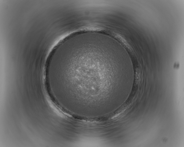 X0000091960726200709201343