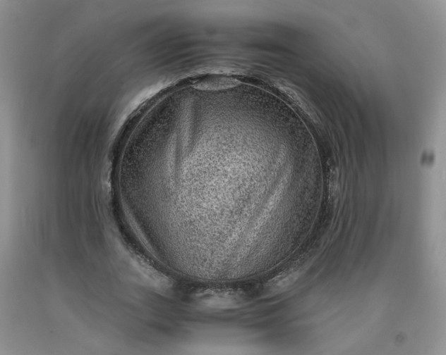 X0000091960727200709201343