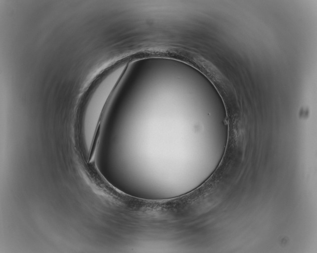 X0000091960728200709201343