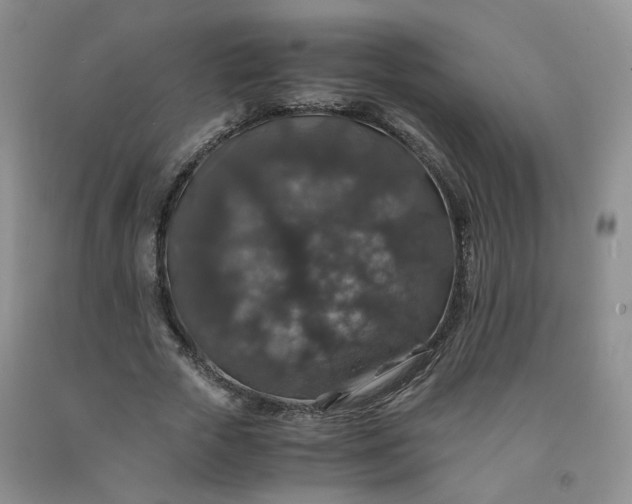 X0000091960729200709201343