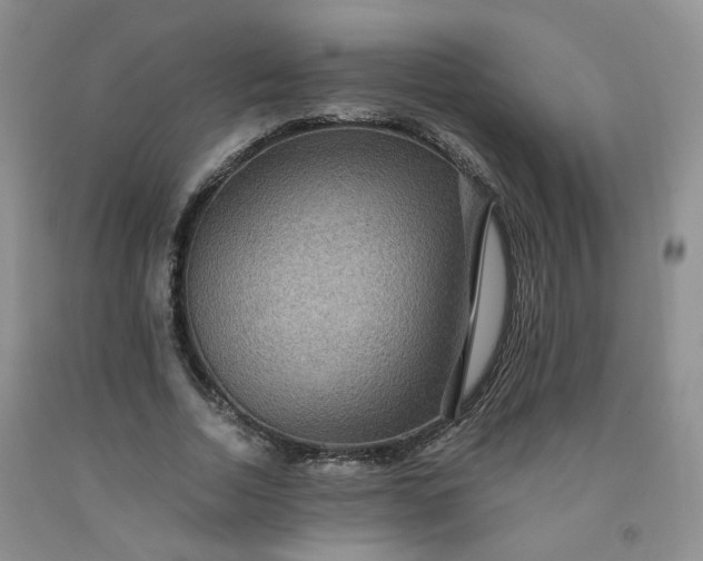 X0000091960730200709201343