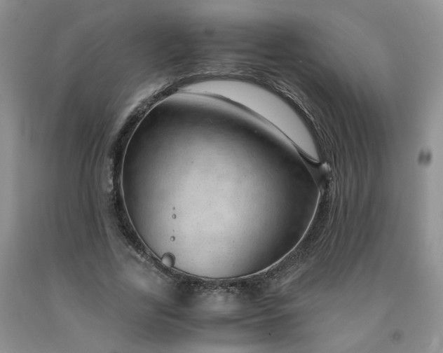 X0000091960731200709201343