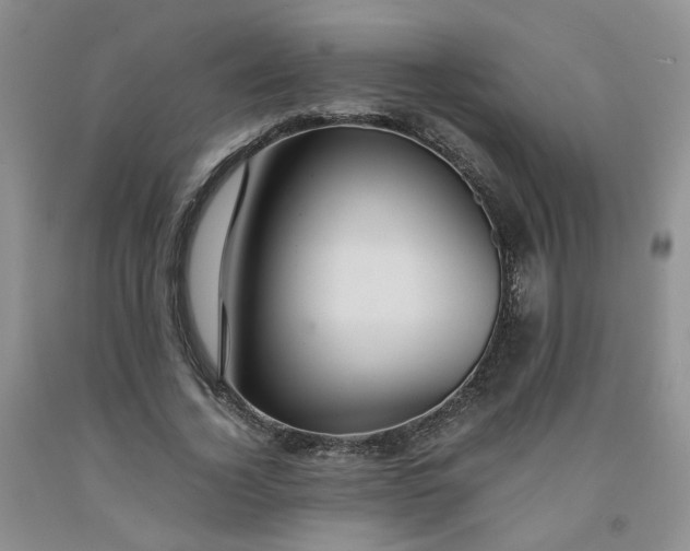 X0000091960732200709201343