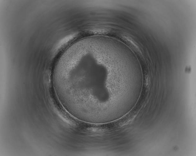 X0000091960733200709201343