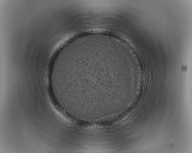 X0000091960734200709201343