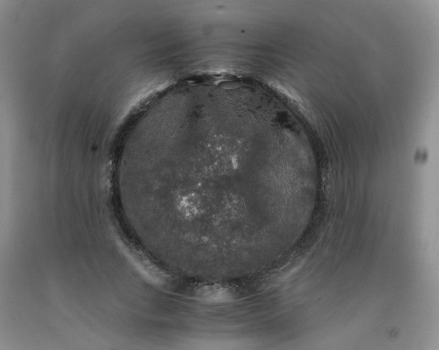 X0000091960735200709201343