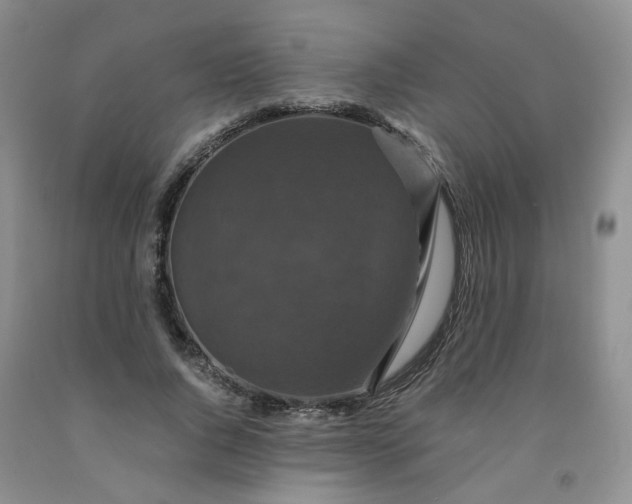 X0000091960736200709201343