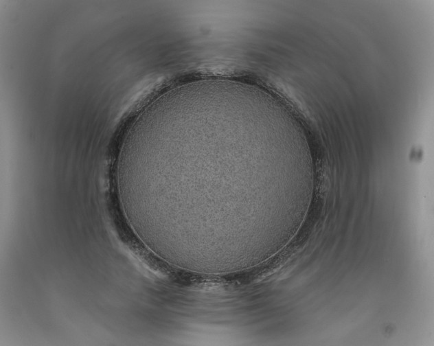 X0000091960738200709201343