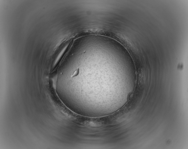 X0000091960739200709201343