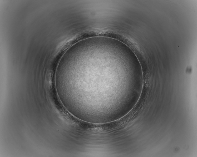 X0000091960740200709201343