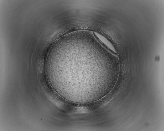 X0000091960741200709201343