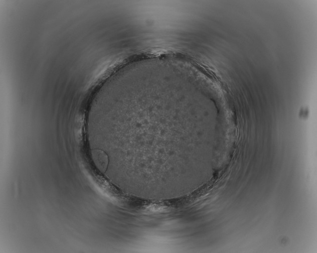 X0000091960742200709201343