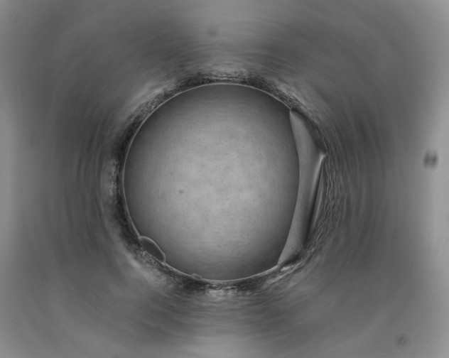 X0000091960744200709201343