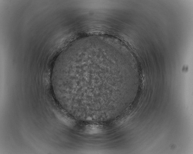 X0000091960745200709201343