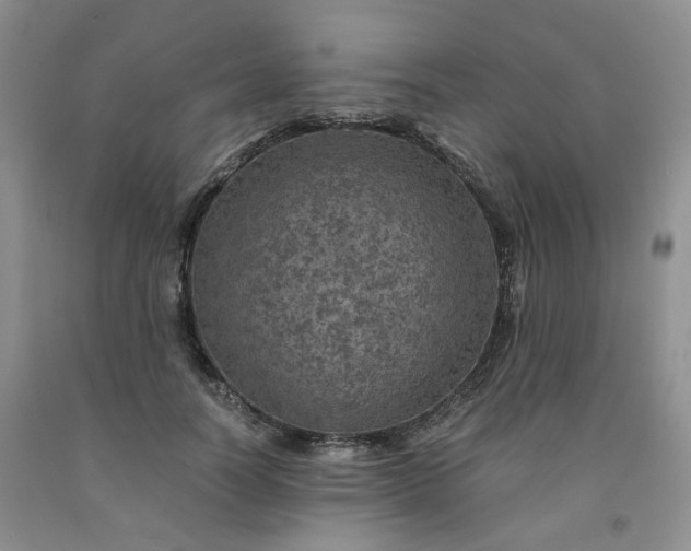 X0000091960746200709201343