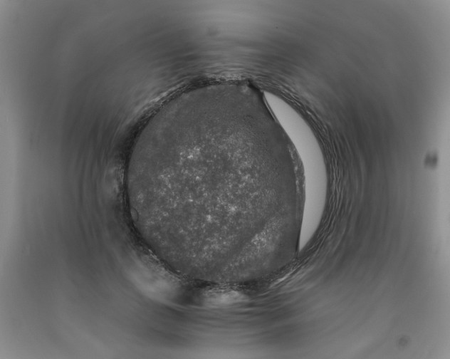 X0000091960747200709201343