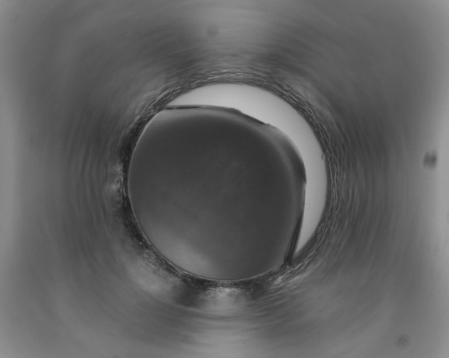 X0000091960748200709201343