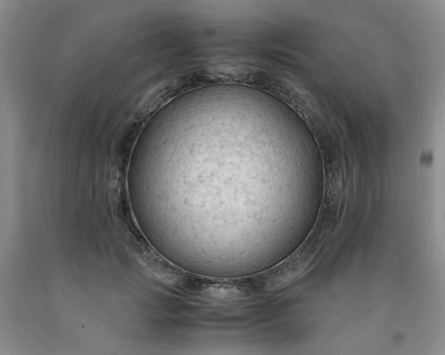 X0000091960749200709201343