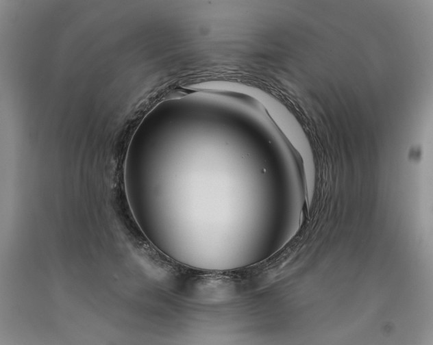 X0000091960750200709201343