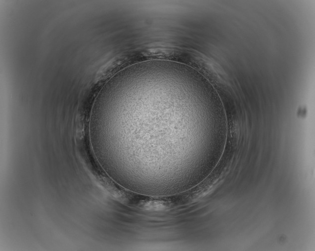 X0000091960751200709201343