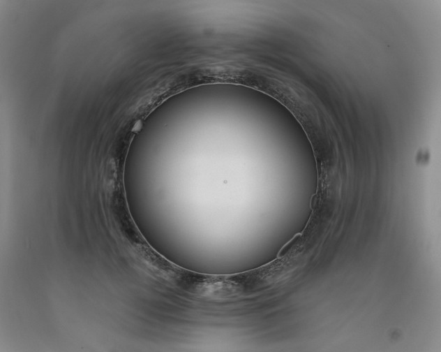 X0000091960752200709201343